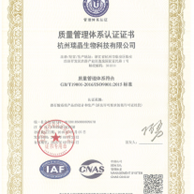 ISO-9001:2015-cn