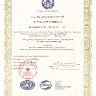 ISO-9001:2015-en